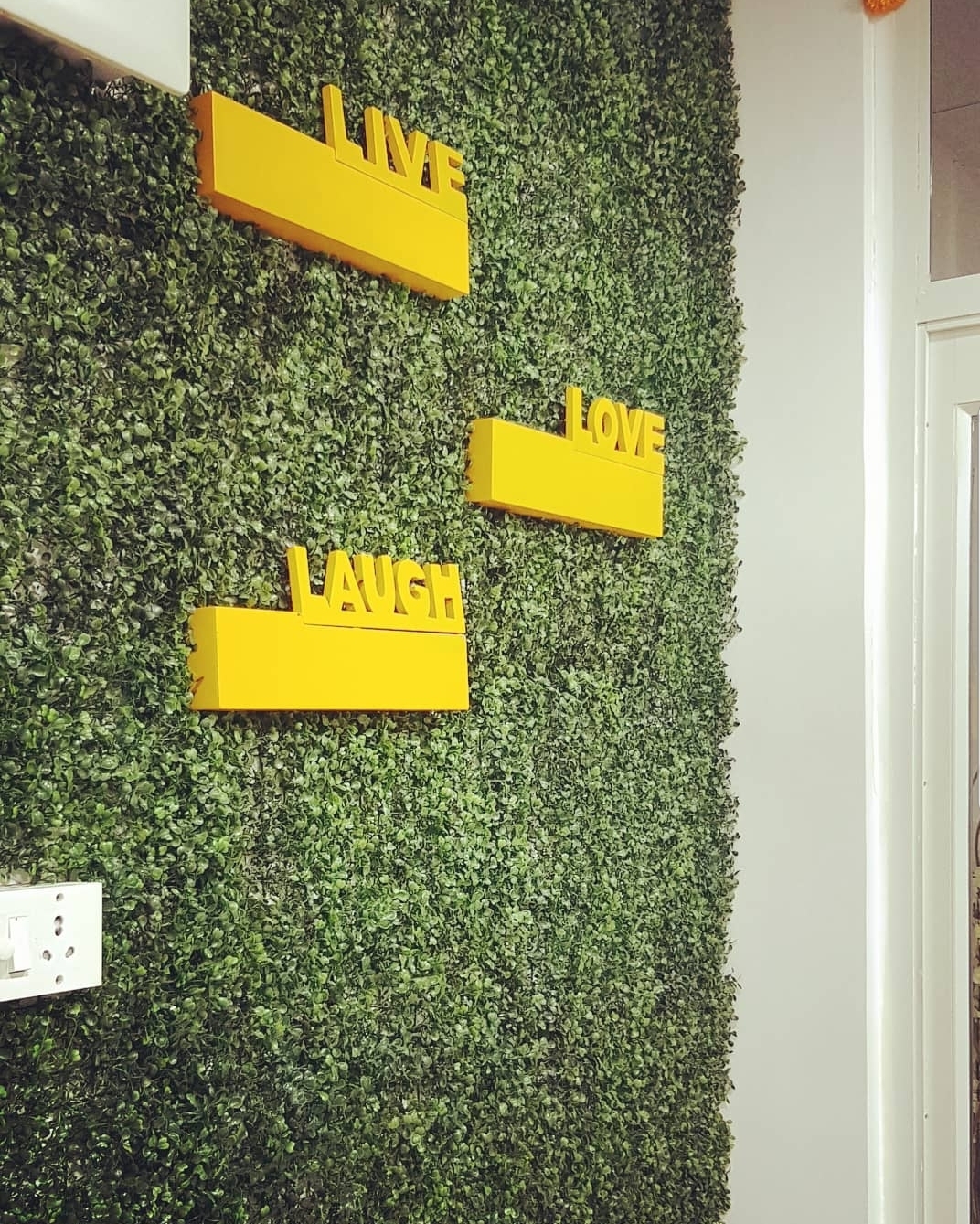 Disha Sharma Disha Sharma