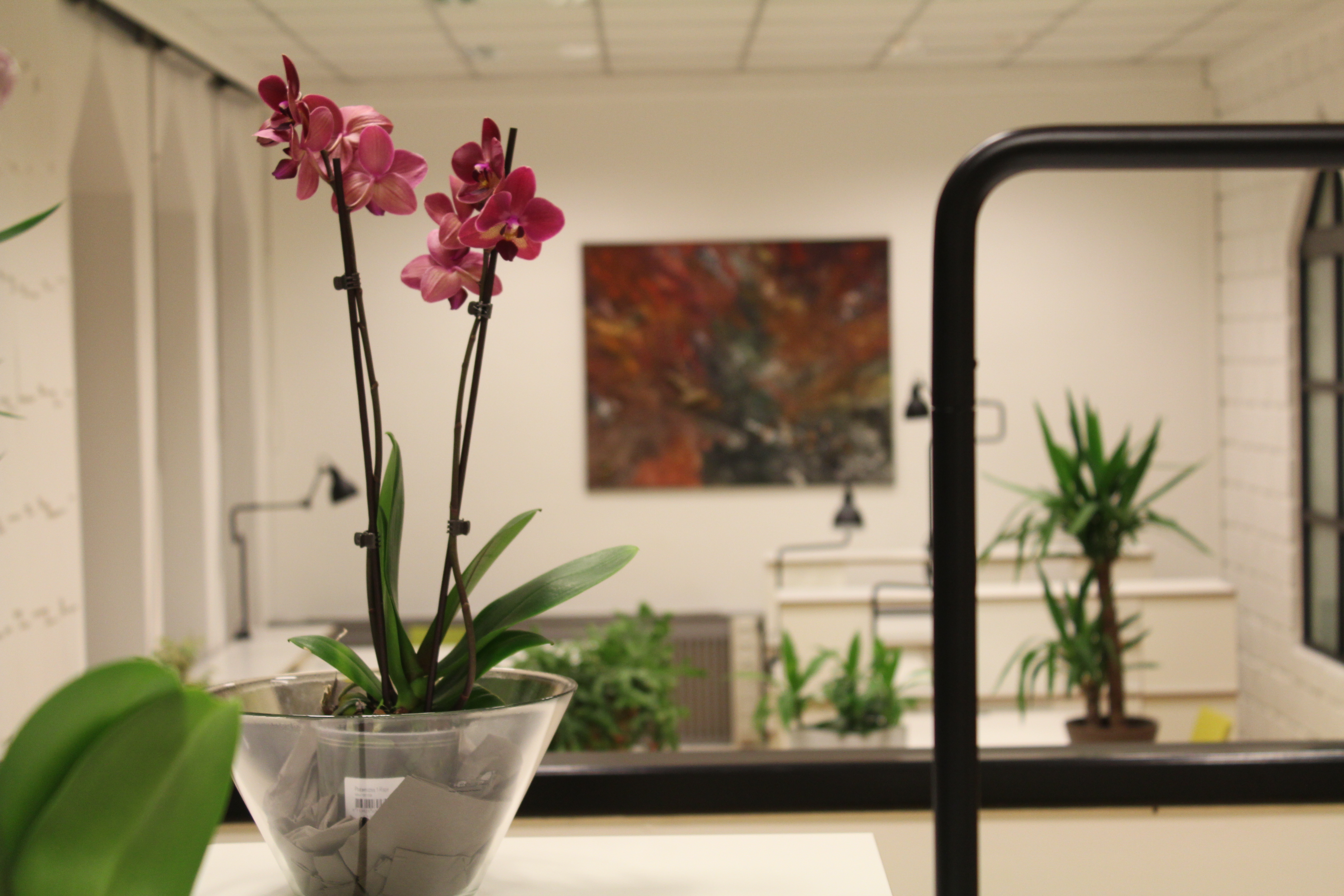 Flexible and Fixed Desk