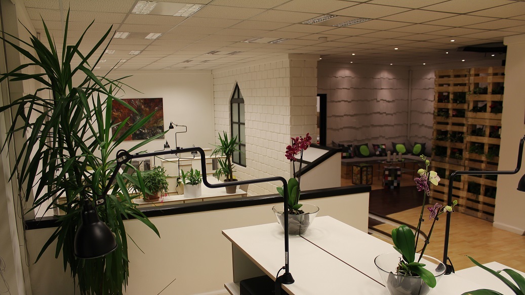 Flexible and Fixed Desk