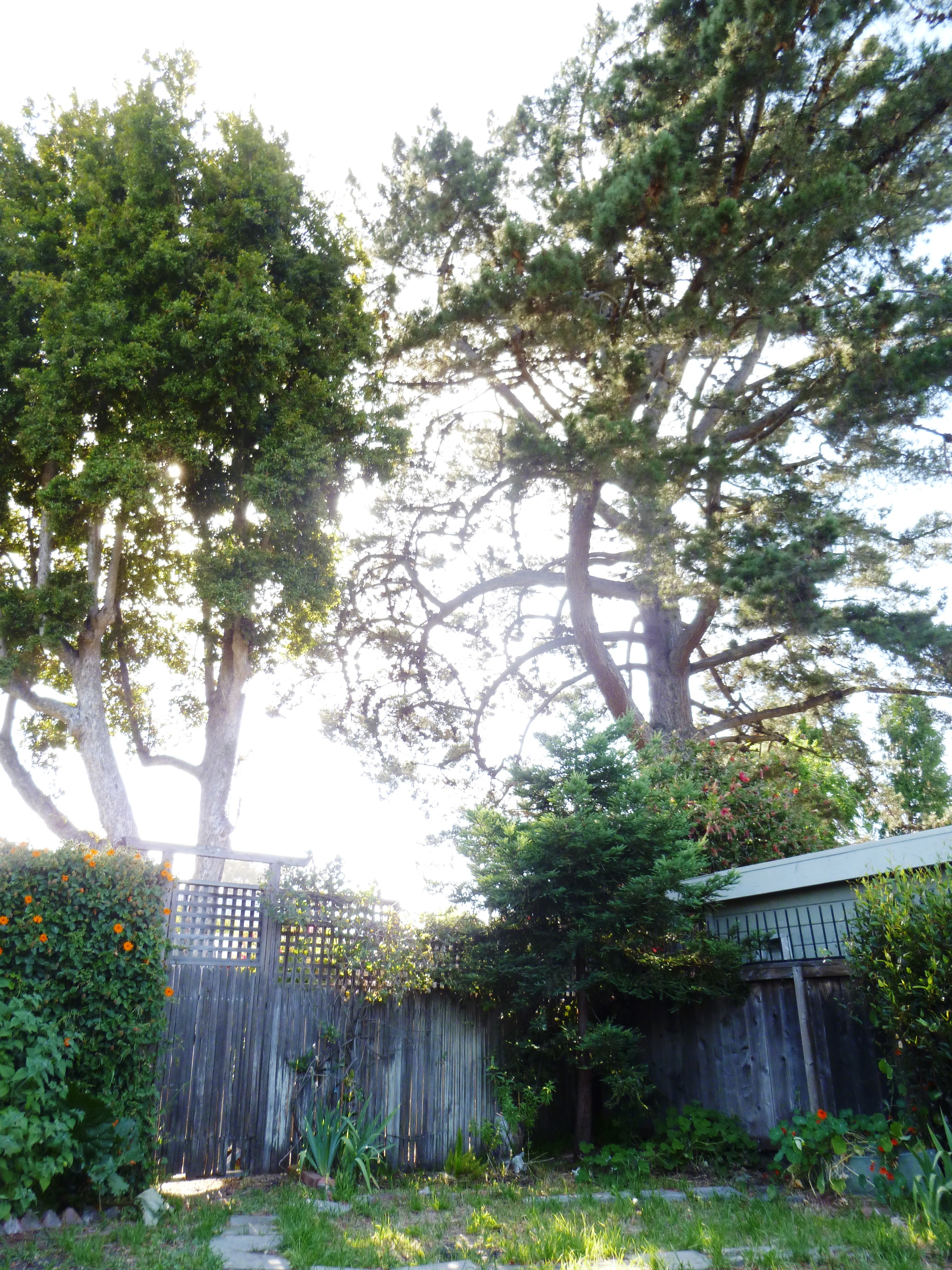 1050 sq ft PRIVATE Co-Working / Office space for 6-8 people next to University Village in Berkeley