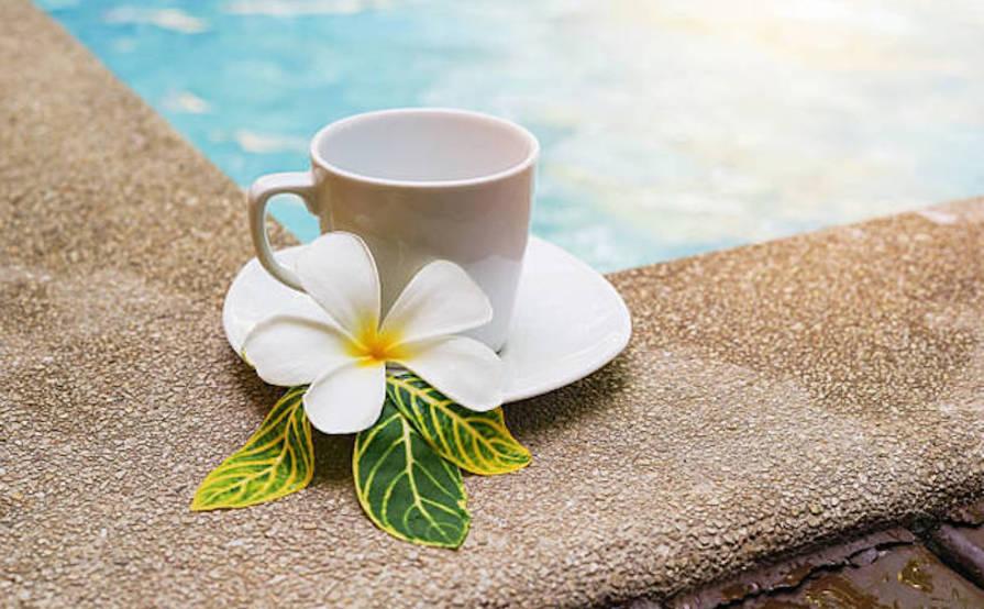 Canggu Coworking and Coliving Canggu Coworking and Coliving