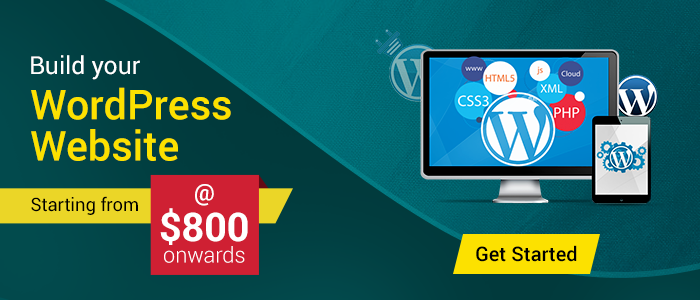 Website Developers India