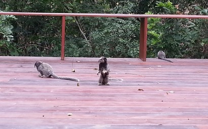 Shared Desk Shared Desk