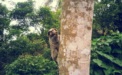 Shared Desk Shared Desk