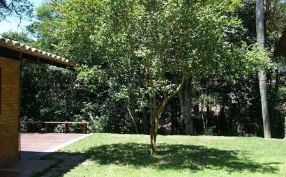 Shared Desk Shared Desk