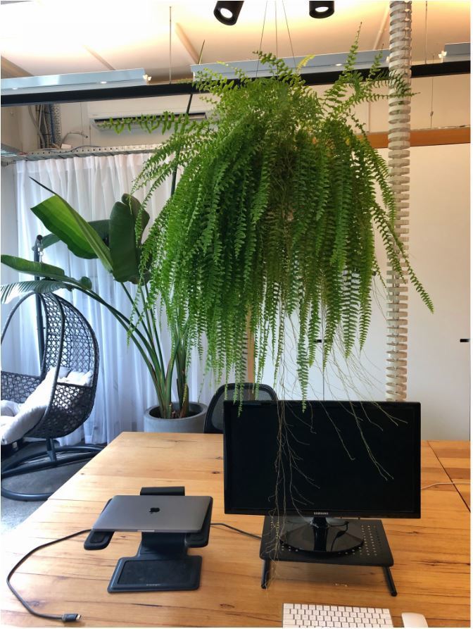 Darlinghurst Office Desk Space Rental 