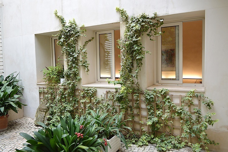 Coworking La Bañera de San Luis Coworking La Bañera de San Luis