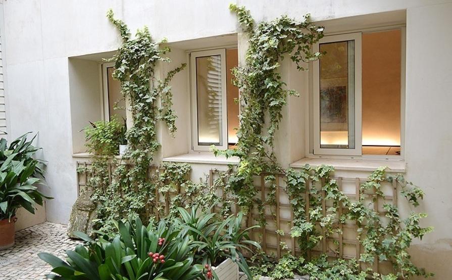 Coworking La Bañera de San Luis Coworking La Bañera de San Luis