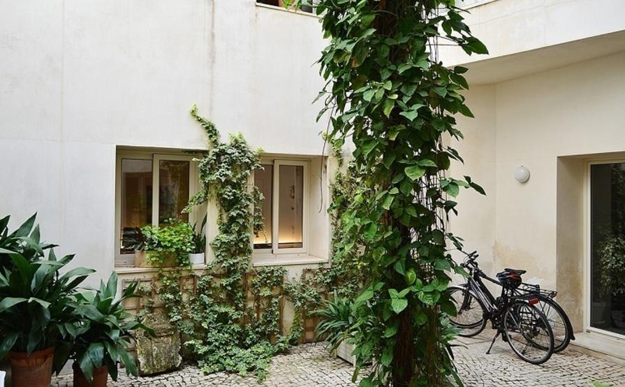 Coworking La Bañera de San Luis Coworking La Bañera de San Luis