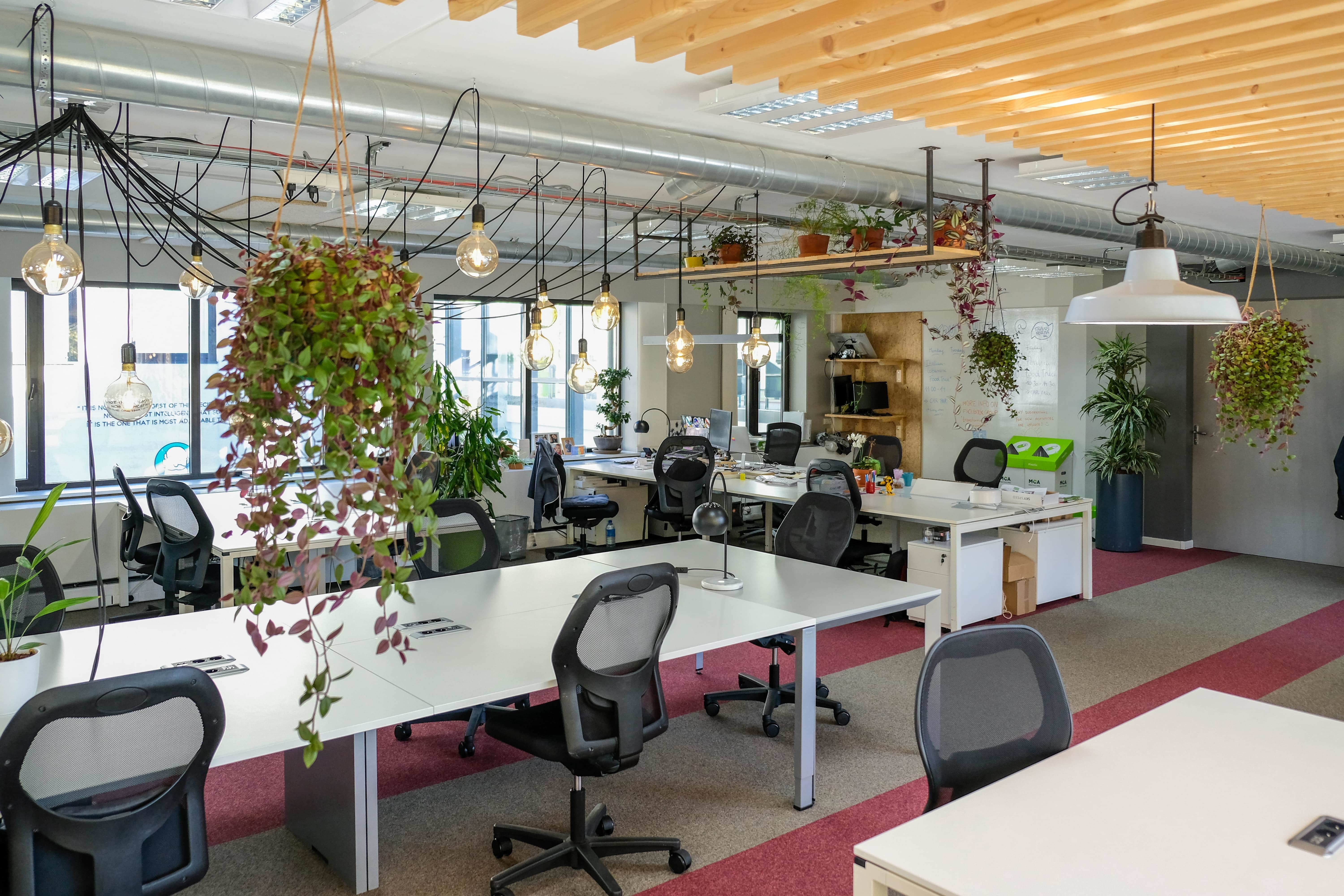 Coworking: Coworker membership (5d/week) Coworking: Coworker membership (5d/week)