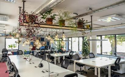 Coworking: Coworker membership (5d/week)  Coworking: Coworker membership (5d/week)