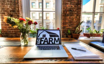 The Farm Soho Co-working Space The Farm Soho Co-working Space