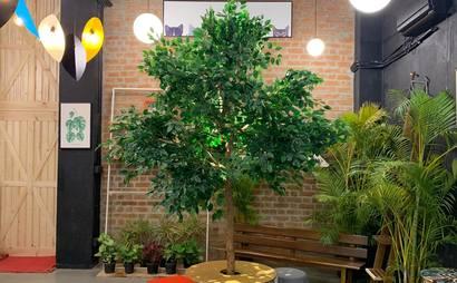 Co-Work @ The Hub