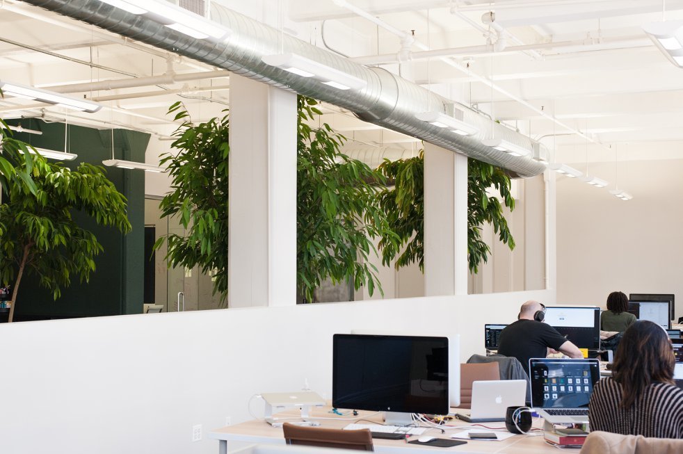 Multiple Desks in Creative Office