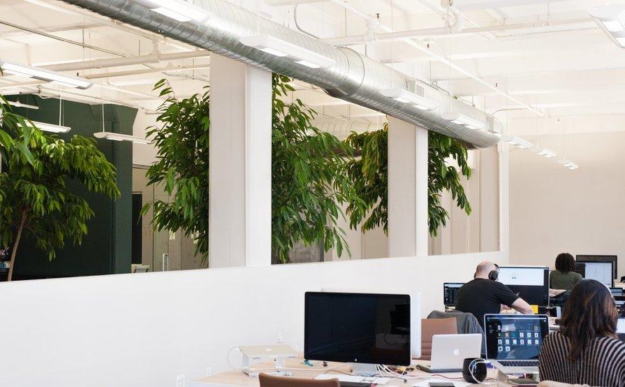 Multiple Desks in Creative Office