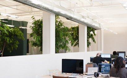 Multiple Desks in Creative Office Multiple Desks in Creative Office