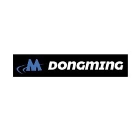 Anping Dongming Wiremesh Co.,Ltd