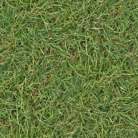 mary berry celery soup