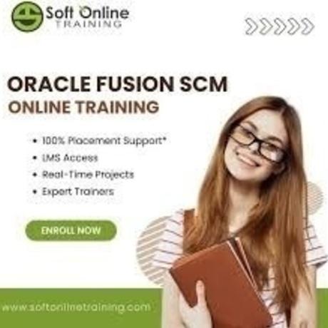 softonlinetraining