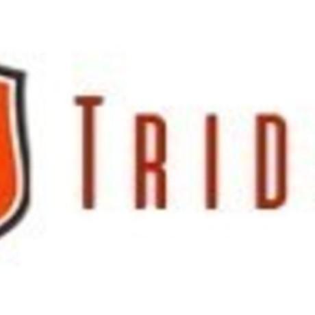 TRIDENT SHIPPING & TRADING PTE. LTD.	