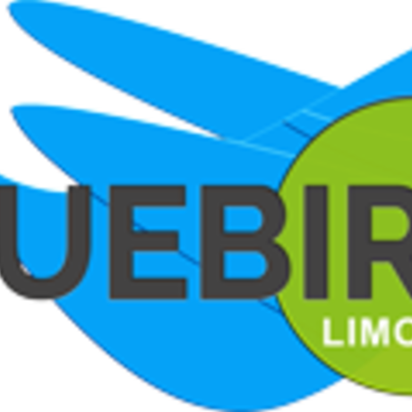 Bluebird Limo Inc		
