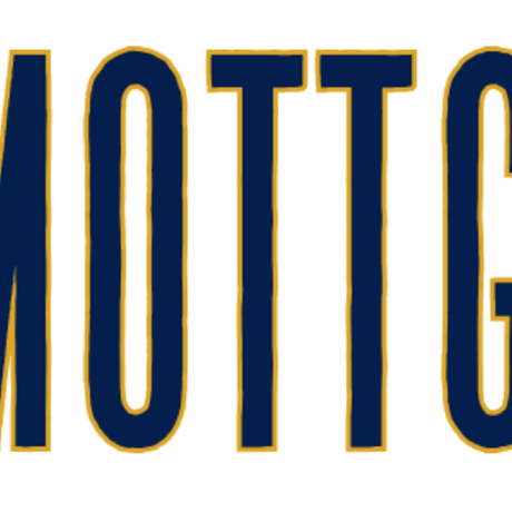 MottGoal MottGoal