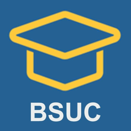 Balo Chống Gù Tiger Family