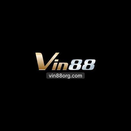 VIN88 ORGCOM