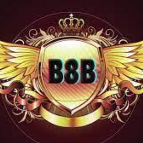 b8b1org