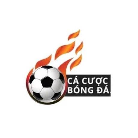 cacuocbongdaone