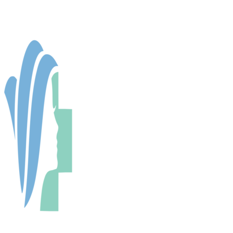 Bệnh Viện Việt Mỹ