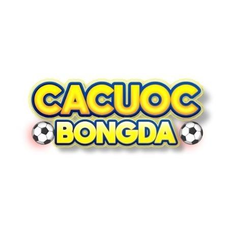 Cá cược bóng đá bóng đá