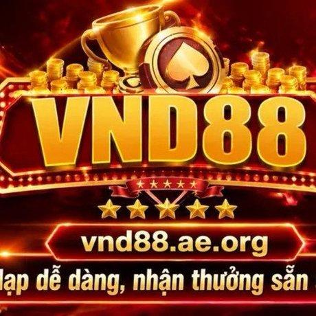 VND88