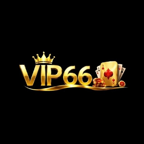 vip66vnnet