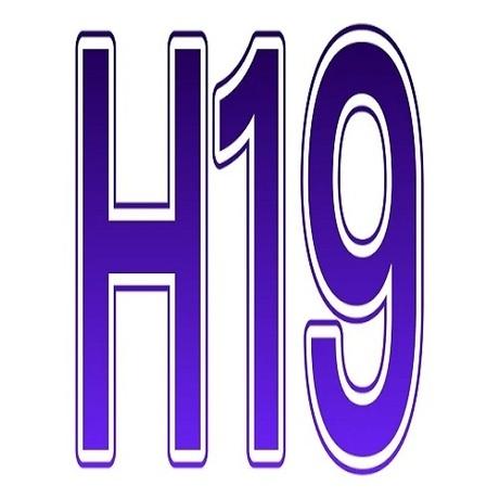 H19