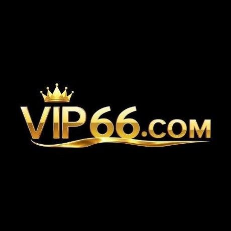 Vip66training2