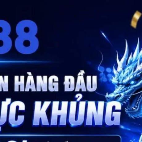 Nhà cái DN88