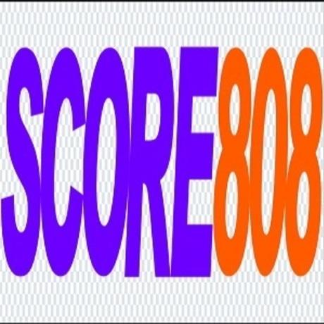 score808goaltop