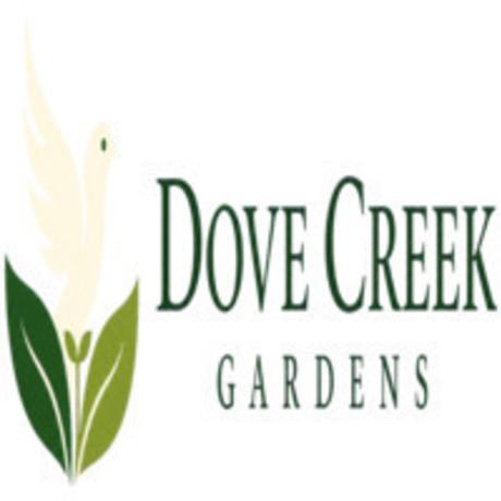 Dove Creek Gardens