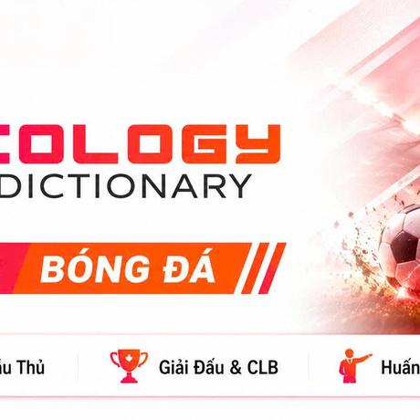 bongdaeco