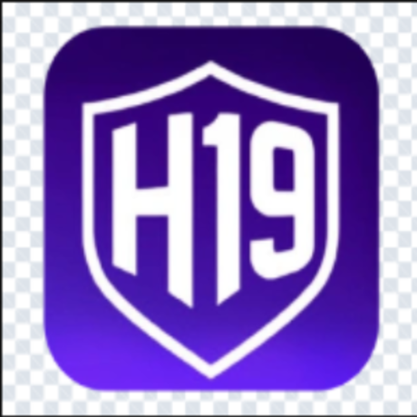 H19