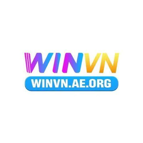 WINVN