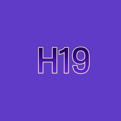H19