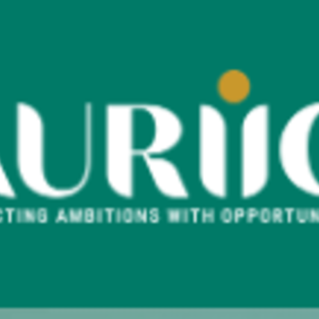 Auriic Services