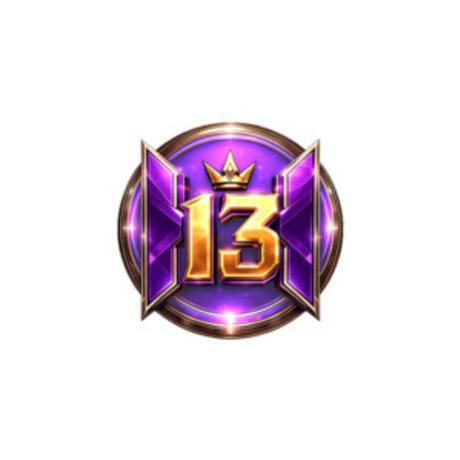H13