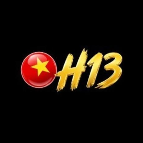 H13