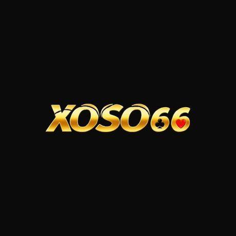 66