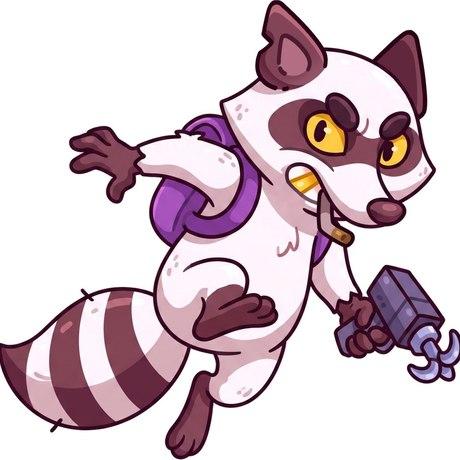 Raccoonheist