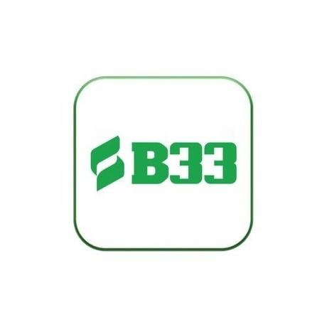 B33