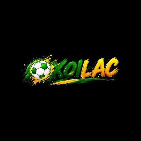 Xoilactvbo cc
